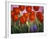 Small Tulips and Hyacinths-John Newcomb-Framed Giclee Print