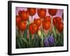 Small Tulips and Hyacinths-John Newcomb-Framed Giclee Print