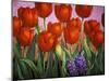 Small Tulips and Hyacinths-John Newcomb-Mounted Giclee Print