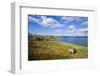 Small Village by Lake Shore,Poolewe, Scotland, United Kingdom-Stefano Amantini-Framed Photographic Print