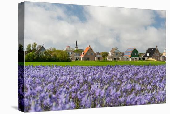 Small Village Den Hoorn with White Church at Dutch Wadden Island Texel-Ivonnewierink-Stretched Canvas