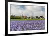 Small Village Den Hoorn with White Church at Dutch Wadden Island Texel-Ivonnewierink-Framed Photographic Print