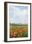 Small Village Den Hoorn with White Church at Dutch Wadden Island Texel-Ivonnewierink-Framed Photographic Print