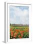 Small Village Den Hoorn with White Church at Dutch Wadden Island Texel-Ivonnewierink-Framed Photographic Print