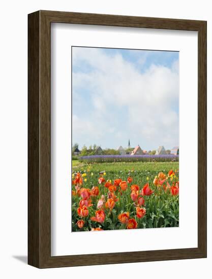 Small Village Den Hoorn with White Church at Dutch Wadden Island Texel-Ivonnewierink-Framed Photographic Print