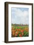 Small Village Den Hoorn with White Church at Dutch Wadden Island Texel-Ivonnewierink-Framed Photographic Print