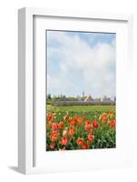 Small Village Den Hoorn with White Church at Dutch Wadden Island Texel-Ivonnewierink-Framed Photographic Print