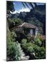 Small Village House in Masca, Tenerife, Canary Islands, Spain, Europe-Tomlinson Ruth-Mounted Photographic Print