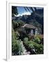 Small Village House in Masca, Tenerife, Canary Islands, Spain, Europe-Tomlinson Ruth-Framed Photographic Print