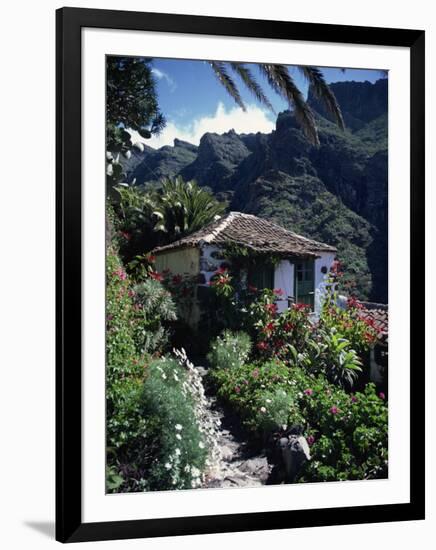 Small Village House in Masca, Tenerife, Canary Islands, Spain, Europe-Tomlinson Ruth-Framed Photographic Print