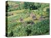 Small Village in Hosana Region, Shoa Province, Ethiopia, Africa-J P De Manne-Stretched Canvas