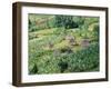 Small Village in Hosana Region, Shoa Province, Ethiopia, Africa-J P De Manne-Framed Photographic Print