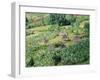 Small Village in Hosana Region, Shoa Province, Ethiopia, Africa-J P De Manne-Framed Photographic Print