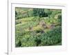 Small Village in Hosana Region, Shoa Province, Ethiopia, Africa-J P De Manne-Framed Photographic Print