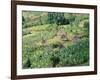 Small Village in Hosana Region, Shoa Province, Ethiopia, Africa-J P De Manne-Framed Photographic Print