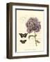 Small Vintage Floral IV-null-Framed Art Print