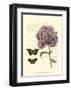 Small Vintage Floral IV-null-Framed Art Print