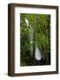 Small waterfall in Sequoia National Park, California, USA-Jerry Ginsberg-Framed Photographic Print