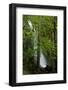 Small waterfall in Sequoia National Park, California, USA-Jerry Ginsberg-Framed Photographic Print