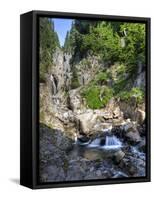 Small Waterfall, Mount Rainier National Park, Washington, USA-Tom Norring-Framed Stretched Canvas