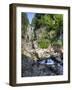 Small Waterfall, Mount Rainier National Park, Washington, USA-Tom Norring-Framed Photographic Print