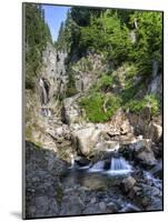 Small Waterfall, Mount Rainier National Park, Washington, USA-Tom Norring-Mounted Photographic Print