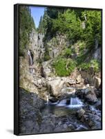 Small Waterfall, Mount Rainier National Park, Washington, USA-Tom Norring-Framed Photographic Print