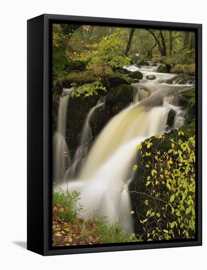Small Waterfall on Aira River, Ullswater, Cumbria, England, United Kingdom, Europe-Pearl Bucknall-Framed Stretched Canvas