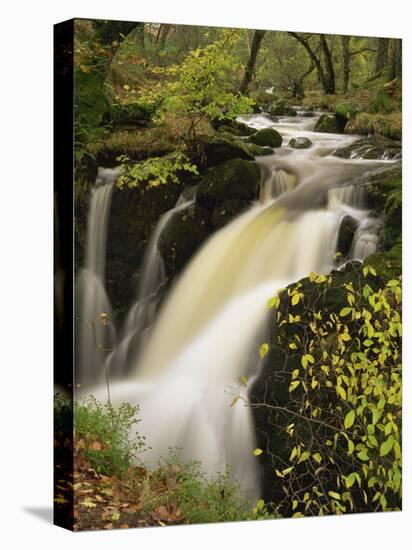 Small Waterfall on Aira River, Ullswater, Cumbria, England, United Kingdom, Europe-Pearl Bucknall-Stretched Canvas