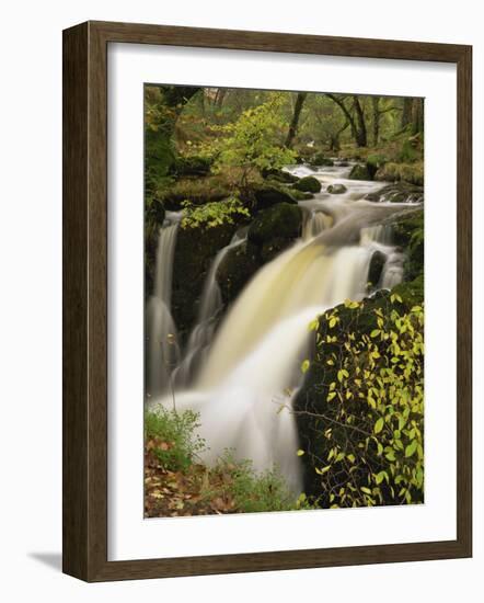 Small Waterfall on Aira River, Ullswater, Cumbria, England, United Kingdom, Europe-Pearl Bucknall-Framed Photographic Print