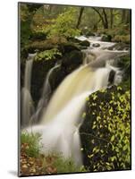 Small Waterfall on Aira River, Ullswater, Cumbria, England, United Kingdom, Europe-Pearl Bucknall-Mounted Photographic Print