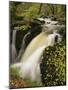 Small Waterfall on Aira River, Ullswater, Cumbria, England, United Kingdom, Europe-Pearl Bucknall-Mounted Photographic Print