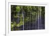 Small Waterfalls in Iceland 3-Art Wolfe-Framed Photographic Print