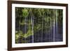 Small Waterfalls in Iceland 3-Art Wolfe-Framed Photographic Print