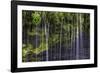 Small Waterfalls in Iceland 3-Art Wolfe-Framed Photographic Print