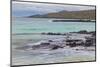 Small waves on lava rocks along shoreline of Floreana Island, Galapagos Islands, Ecuador.-Adam Jones-Mounted Photographic Print