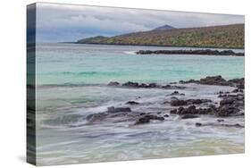 Small waves on lava rocks along shoreline of Floreana Island, Galapagos Islands, Ecuador.-Adam Jones-Stretched Canvas