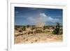 Small Whirlwind with Donkey-nok3709001-Framed Photographic Print