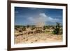 Small Whirlwind with Donkey-nok3709001-Framed Photographic Print