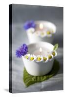 Small White Bowls with Floating Candles and Daisies-Brigitte Protzel-Stretched Canvas