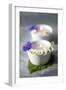 Small White Bowls with Floating Candles and Daisies-Brigitte Protzel-Framed Photographic Print