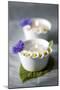 Small White Bowls with Floating Candles and Daisies-Brigitte Protzel-Mounted Photographic Print