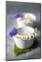 Small White Bowls with Floating Candles and Daisies-Brigitte Protzel-Mounted Photographic Print