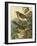 Small Woodland Birds III-Vision Studio-Framed Art Print