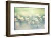 small world-Takashi Suzuki-Framed Photographic Print