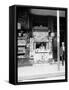 Smallest News Post Card Stand in New Orleans, La., 103 Royal Street-null-Framed Stretched Canvas