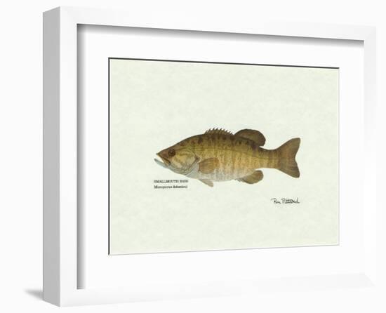 Smallmouth Bass Fish-Ron Pittard-Framed Art Print