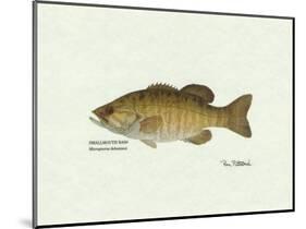 Smallmouth Bass Fish-Ron Pittard-Mounted Art Print