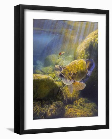 Smallmouth Bass-Larry Tople-Framed Giclee Print