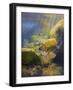 Smallmouth Bass-Larry Tople-Framed Giclee Print